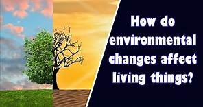 How do environmental changes affect living things? Facts About Environmental| Change |Teaching Oasis