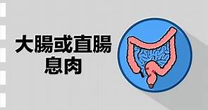 『如何看動大腸鏡檢查報告』報告一：大腸或直腸息肉