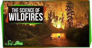 The Science of Wildfires
