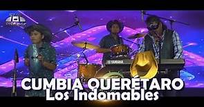 Los Indomables - Cumbia Querétaro (Official Video)