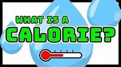 What is a Calorie? Explained in terms of Energy, Food & Calorie Burn