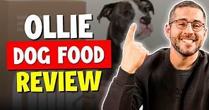 Ollie Dog Food: The Best Dog Food Around?
