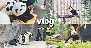 【nao旅遊】上野動物園一日遊vlog🇯🇵🐼｜東京｜