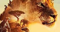Serengeti - guarda la serie in streaming online
