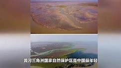 国家自然保护区系列——黄河三角洲