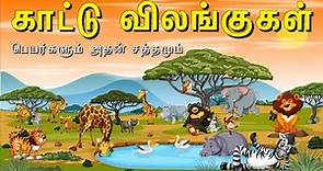 காட்டு விலங்குகளின் பெயர்களும் அதன் சத்தமும் | Wild Animal names and Sounds for Kids in Tamil