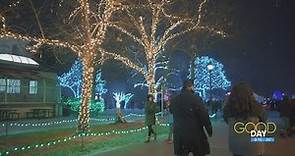 Toledo Zoo Lights Before Christmas kicks off Friday | Good Day on WTOL 11