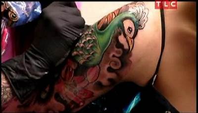 LA Ink- Peacock Tattoo