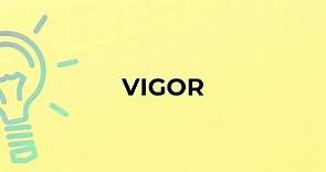 What is the meaning of the word VIGOR?