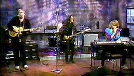 NRBQ• Immortal For A While/Fraction of Action (Live, VH-1,1990) • Stereo