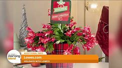 Holiday Design Inspiration from Lowe's