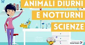 Animali diurni e notturni - Scienze per bambini della scuola primaria