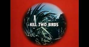 Kill Two Birds - Thriller British TV Series