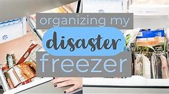 Organizing My Disaster Freezer! || Deep, Small Freezer Organization