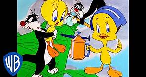 Looney Tunes | Best of Tweety Bird and Sylvester | Classic Cartoon Compilation | WB Kids