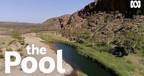 How Billabong is Australia's Original and Oldest Pool | The Pool