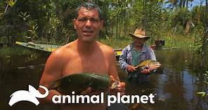 Frank pesca con sus propias manos | Wild Frank | Animal Planet