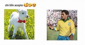 #garrincha #cabra #goat #quepasocongarrincha #garrinchainsano #edit #futbol⚽️ #musica #tili ¿que hizo Garrincha con una cabra ?