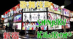 【東京攻略】新宿紅燈區歌舞伎町,越夜越美麗Tokyo red light district Shinjuku Kabukicho