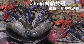 新竹湖口 印in麻辣鍋放題 | 青龍、波龍吃到飽，還有10倍大的斯里蘭卡帝王長臂蝦