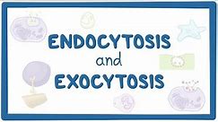 Endocytosis and exocytosis