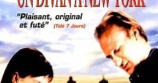 Romance en Nueva York (1996) Online - Película Completa en Español - FULLTV