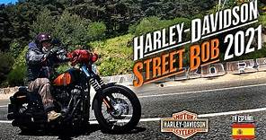 Harley-Davidson STREET BOB 2021 - Prueba y opinión.