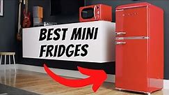 BEST Mini Fridge Review 🧊 (Ultimate 2023 Guide To Mini Refrigerators)