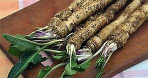 Harvesting Wild Horseradish (plants and root also for sale see desc)