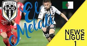 Farid El Melali • Goals & Skills • SCO Angers • Ligue 1 Talent