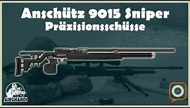 Anschütz 9015 Sniper Präzisionsschüsse