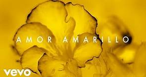 Gustavo Cerati - Amor Amarillo (Official Visualizer)