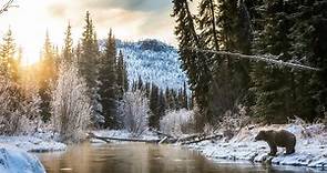 Earth's Great Rivers II - Series 1: 3. Yukon