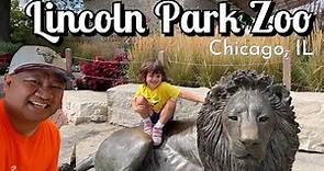 LINCOLN PARK ZOO Tour | Free Zoo In Chicago