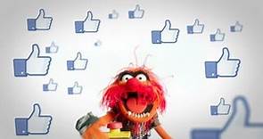 Animal: The Muppets On Facebook | The Muppets Fan-A-Thon | The Muppets