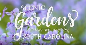 Scenic Gardens of South Carolina