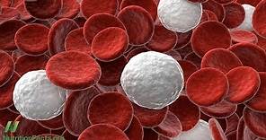 What Is the Ideal White Blood Cell Count?