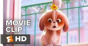 The Secret Life of Pets 2 Movie Clip - Daisy Asks for Help (2019) | Movieclips Coming Soon