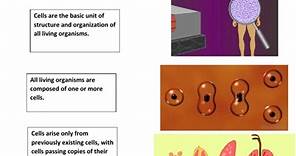 Principles of cell theory worksheet