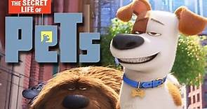 The Secret Life of Pets - Dog Days - Read Aloud Kids Storybook Preview