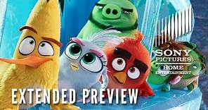 The Angry Birds Movie 2: Extended Preview