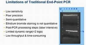 線上課程－Real-Time PCR 原理線上課程