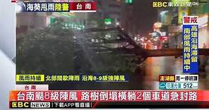 【海葵颱風】台南颳8級陣風 路樹倒塌橫躺2個車道急封路 @newsebc