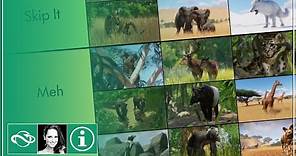 ▶ Ranking All 122 Planet Zoo Animals: Ultimate Animal Tier List
