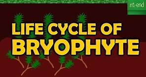 LIFE CYCLE OF BRYOPHYTE