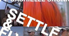 Jesse Mac Cormack (feat. Gabrielle Shonk) - Settle & Fly (Visualizer)