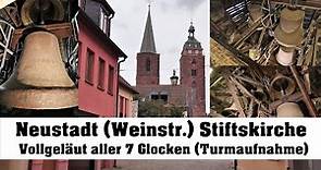 NEUSTADT an der Weinstraße (D), Stiftskirche, Vollgeläut aller Glocken (Turmaufnahme)
