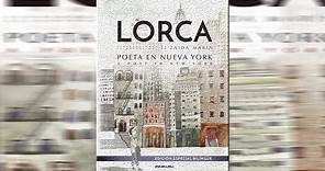 RESUMEN, RESEÑA Y ARGUMENTO del libro "Poeta en Nueva York" de Federico García Lorca.