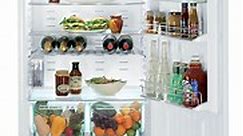 Whirlpool Refrigerator Leaking [Solved] - In-depth Refrigerators Reviews