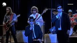 The Blues Brothers: Everybody needs somebody HD CLIP